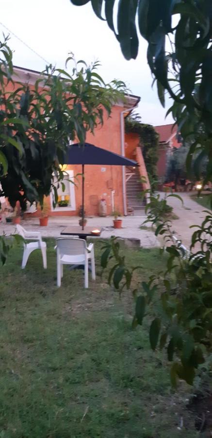 Il Glicine Bed & Breakfast Chieti Ngoại thất bức ảnh